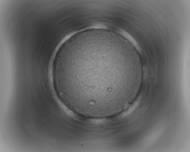 X0000115340939200911091302