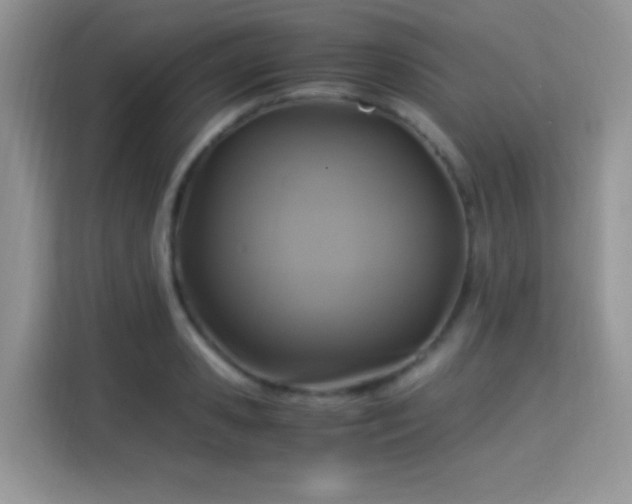 X0000115340941200911091302