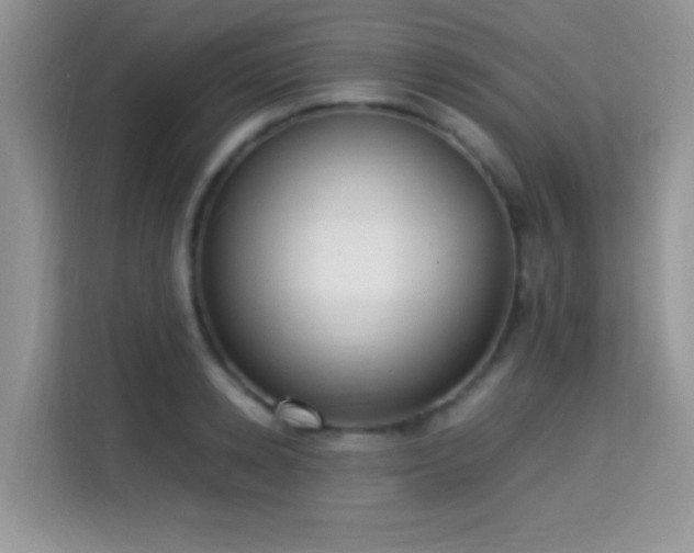 X0000115340942200911091302