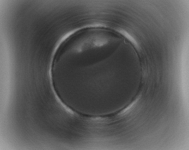 X0000115340943200911091302