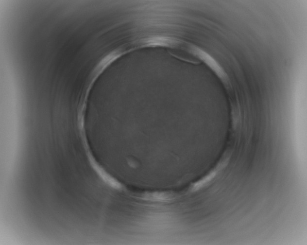 X0000115340946200911091302