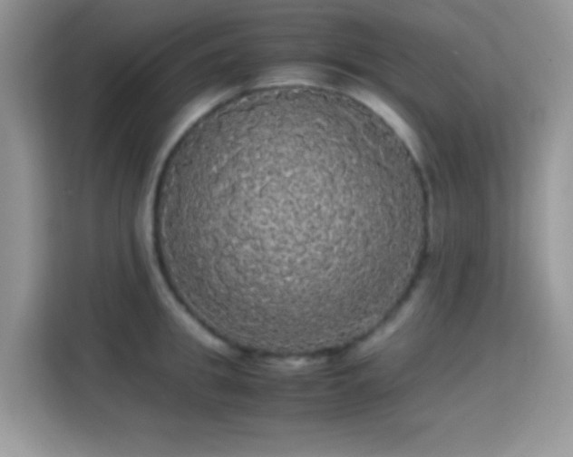 X0000115340949200911091302