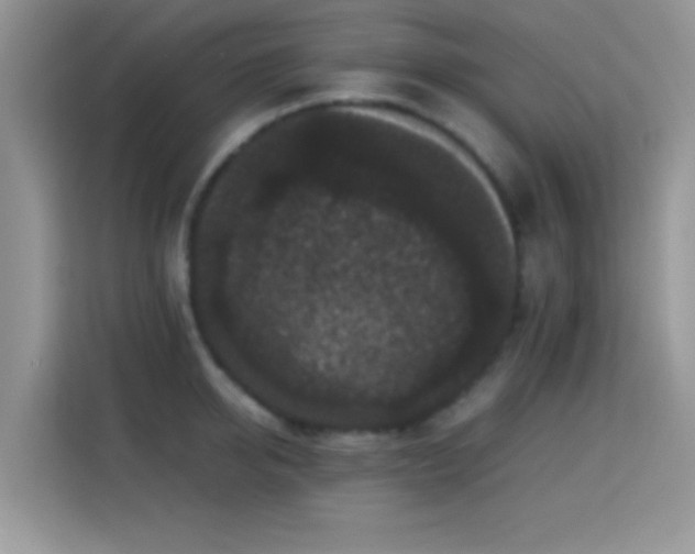 X0000115340950200911091302