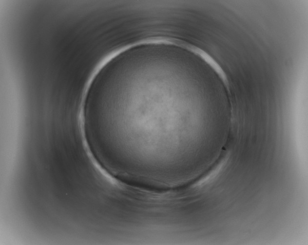 X0000115340951200911091302