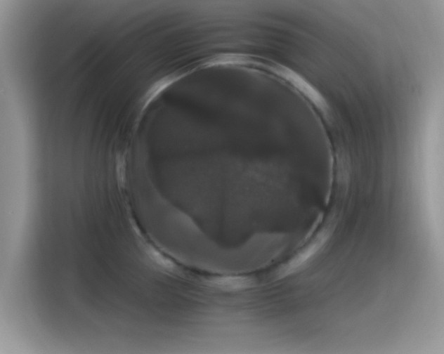 X0000115340953200911091302