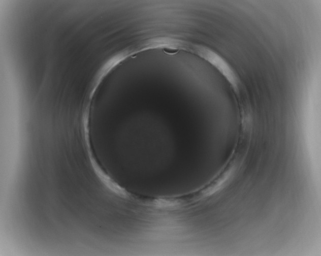X0000115340954200911091302