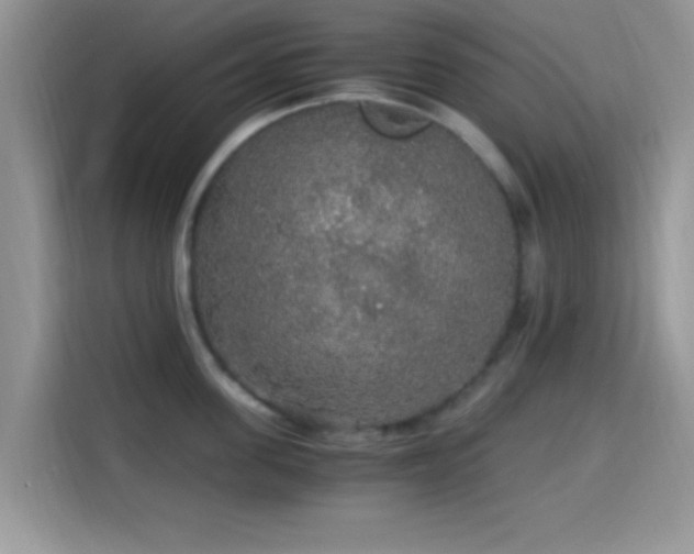 X0000115340955200911091302