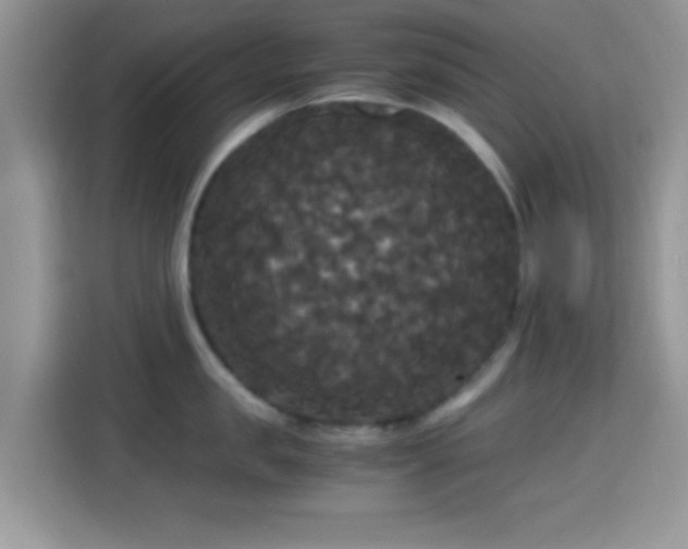 X0000115340957200911091302