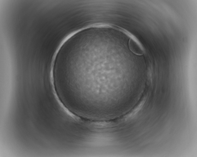 X0000115340959200911091302