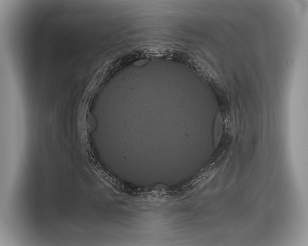 X0000115340961200911091302