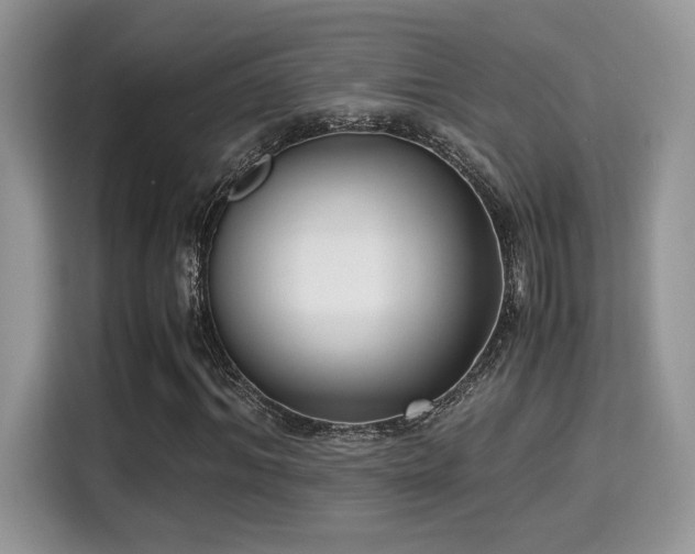X0000115340964200911091302