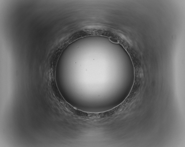 X0000115340965200911091302