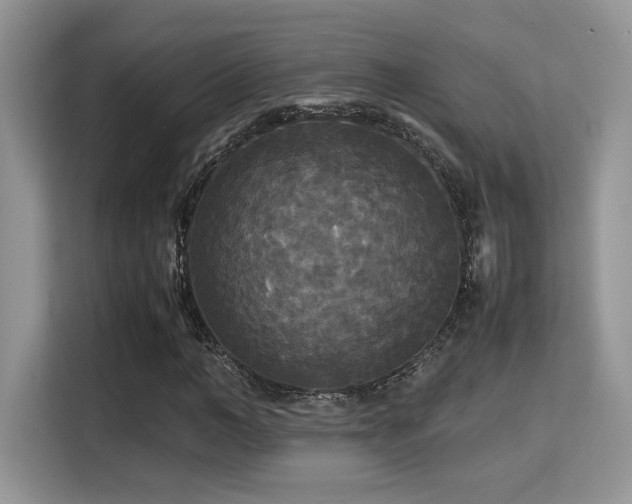 X0000115340966200911091302