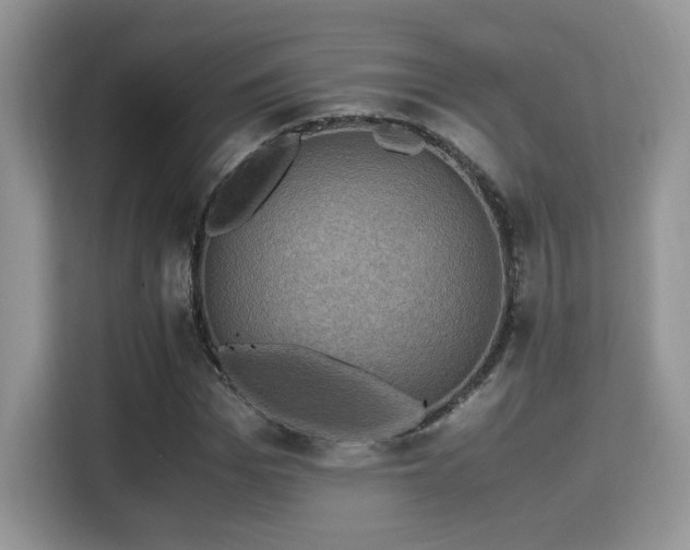 X0000115340969200911091302