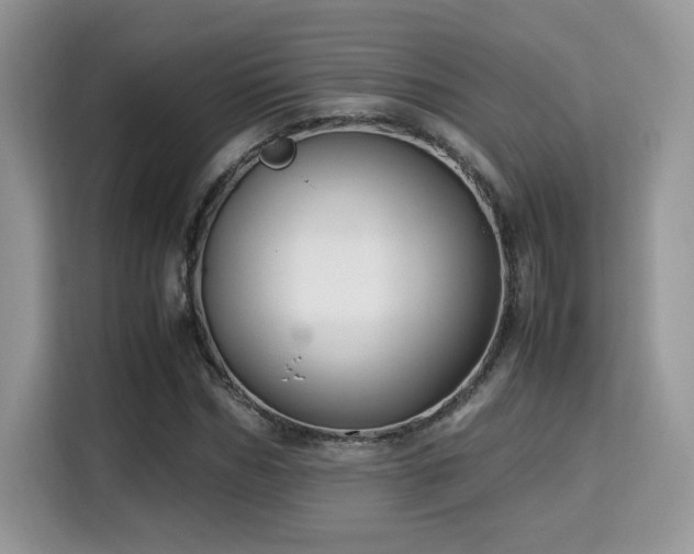 X0000115340970200911091302