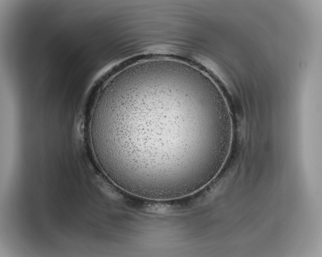 X0000115340971200911091302