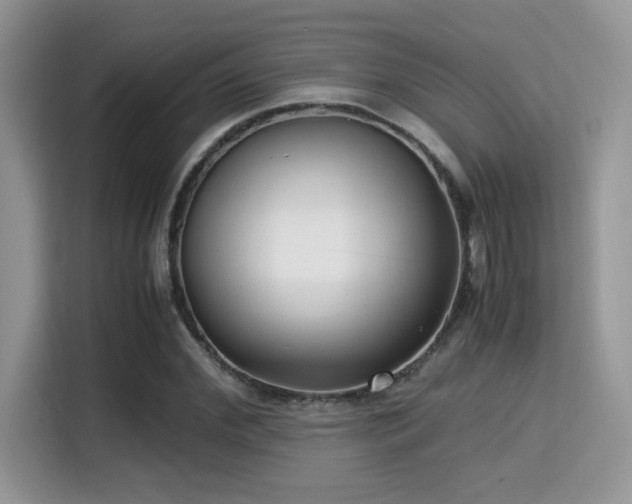 X0000115340972200911091302