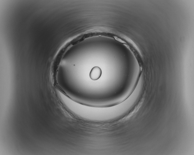 X0000115340973200911091302