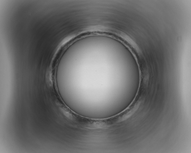 X0000115340974200911091302