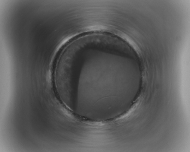 X0000115340975200911091302