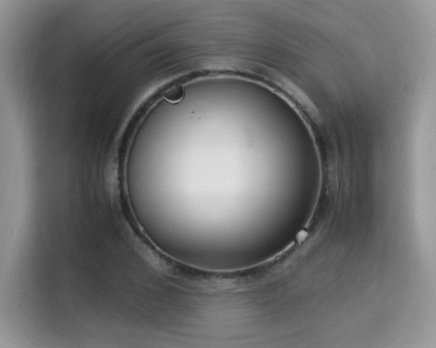 X0000115340976200911091302