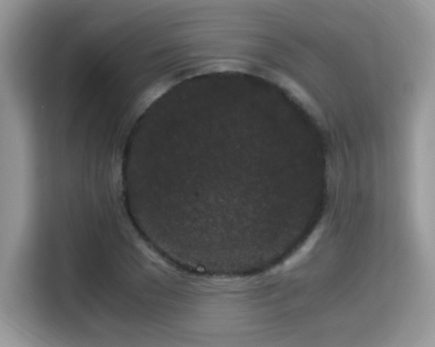 X0000115340977200911091302