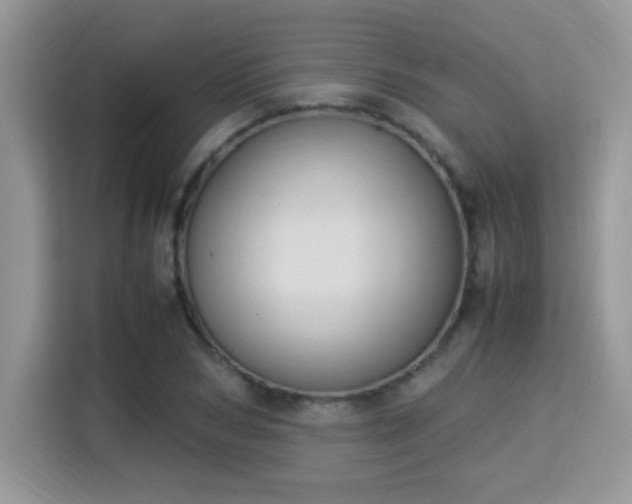 X0000115340978200911091302