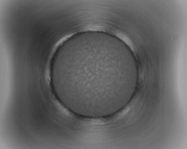 X0000115340979200911091302