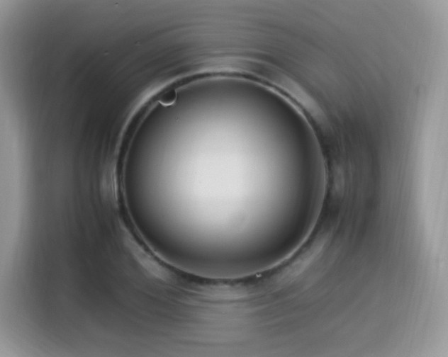 X0000115340980200911091302