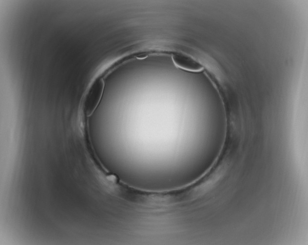 X0000115340981200911091302