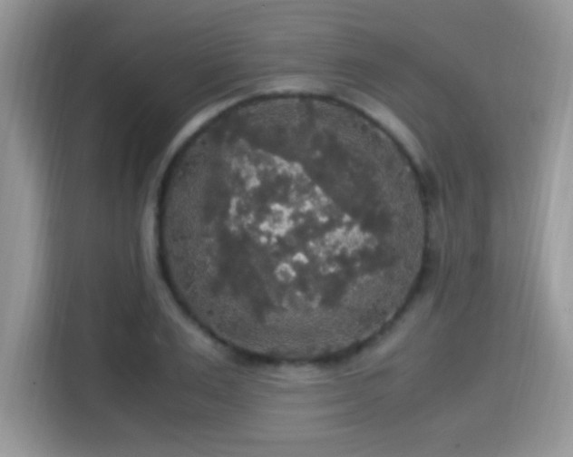 X0000115340983200911091301