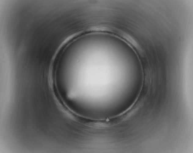 X0000115340984200911091301