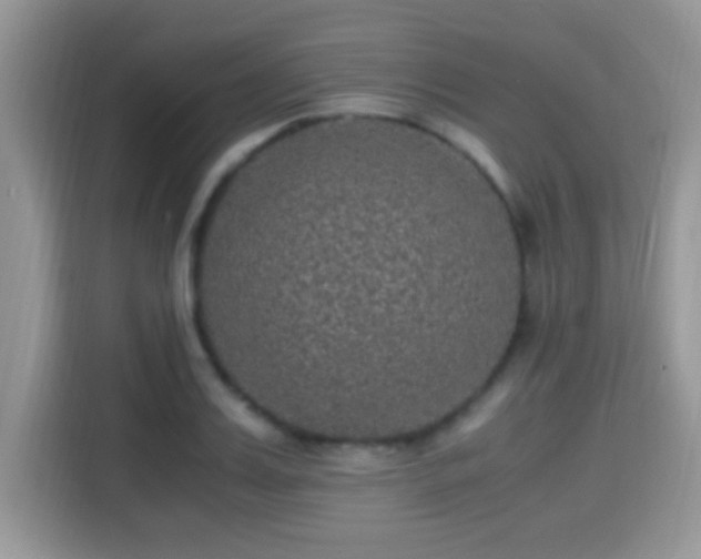 X0000115340987200911091301