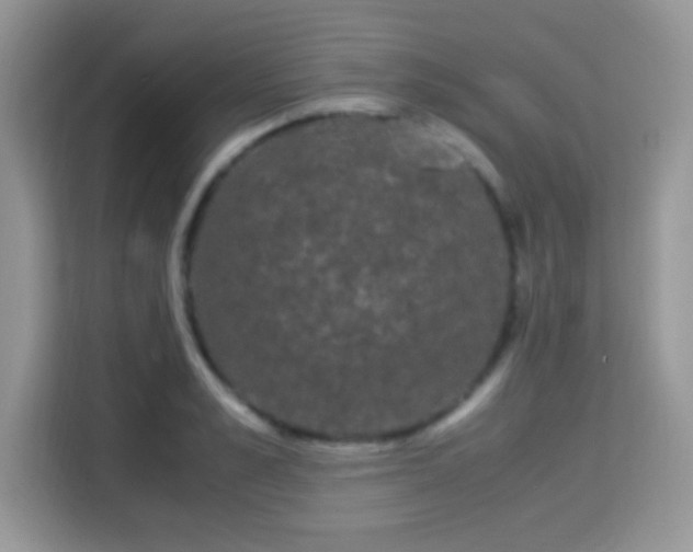 X0000115340989200911091301