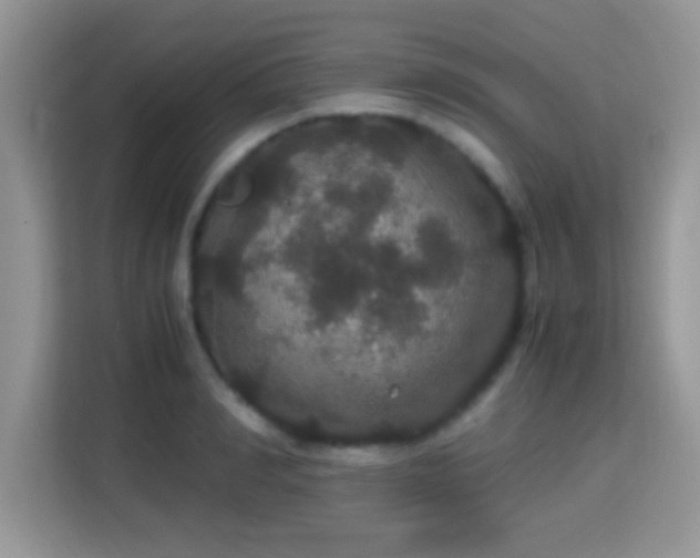 X0000115340990200911091301