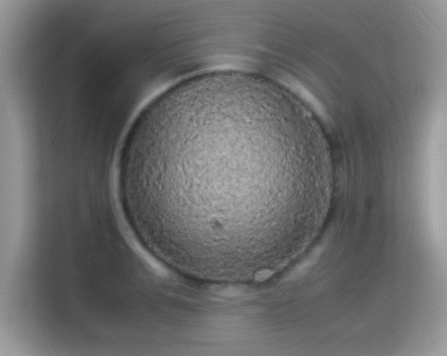 X0000115340991200911091301