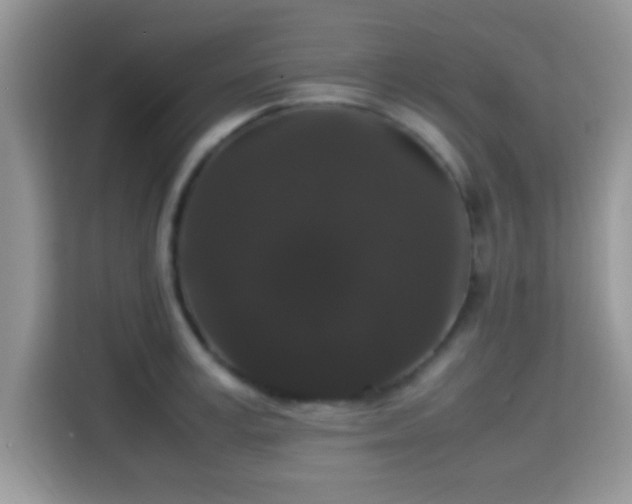 X0000115340995200911091301