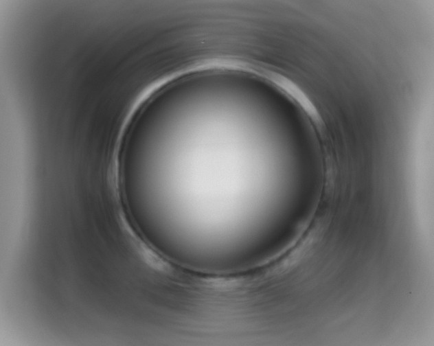 X0000115340996200911091301