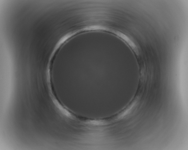 X0000115340998200911091301