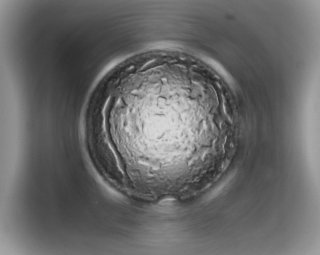X0000115340999200911091301