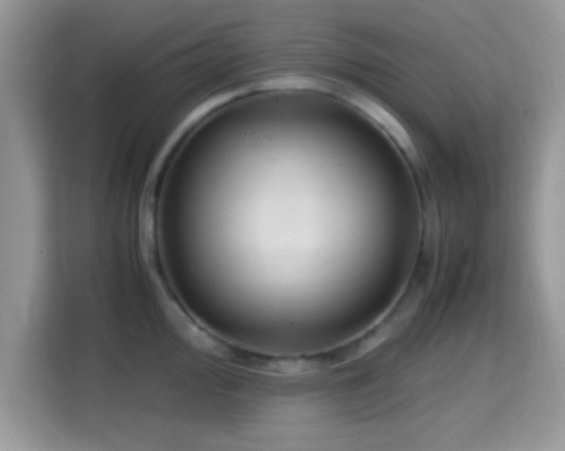 X0000115341000200911091301