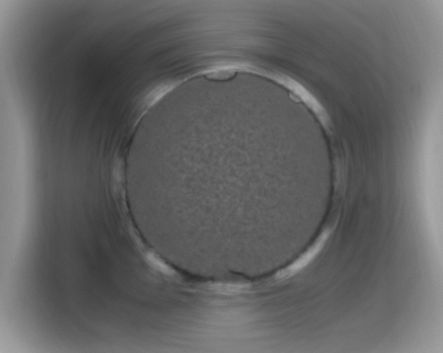 X0000115341001200911091301