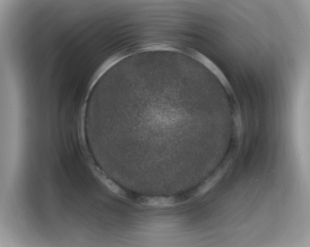X0000115341002200911091301