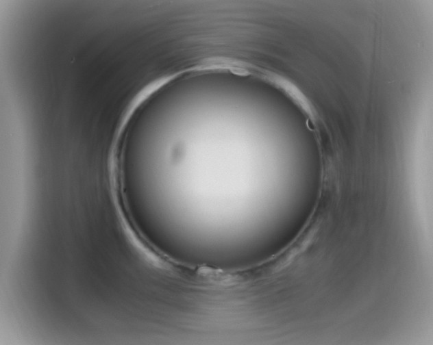 X0000115341003200911091301