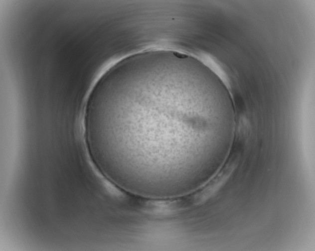 X0000115341005200911091301