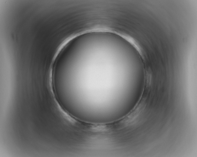 X0000115341006200911091301