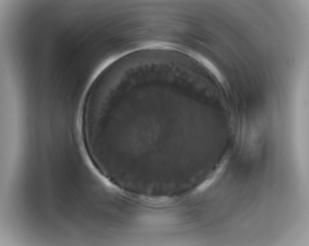 X0000115341007200911091301