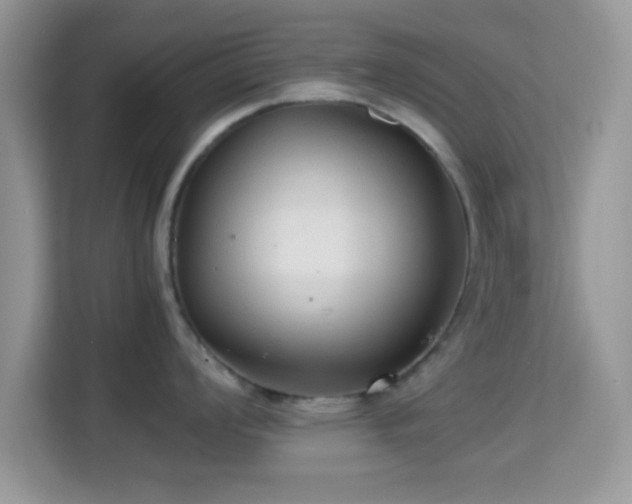 X0000115341008200911091301