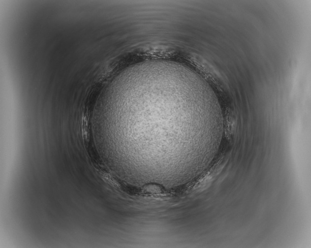 X0000115341010200911091301