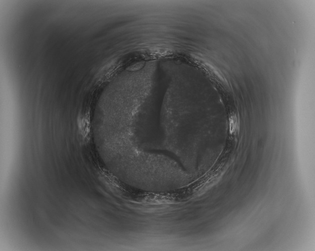X0000115341011200911091301